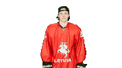 Hockey Liiga Sticker by ledoritulys.lt