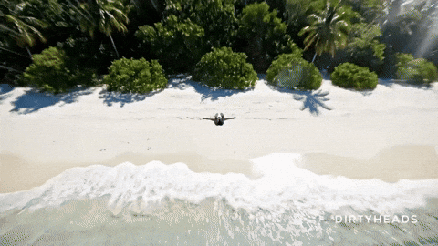 Flying Dirty Heads GIF by Better Noise Music