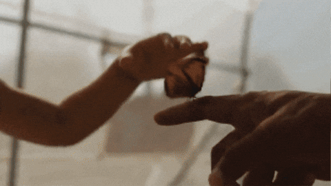 GIF by U-M College of LSA