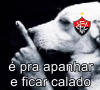 Ecvitoria GIF