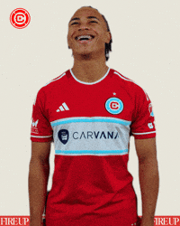 Happy Chicago Fire GIF by Chicago Fire Football Club