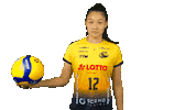 Vbl Liu Sticker by Volleyball Bundesliga