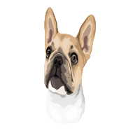 Sushipp Sticker by Pickle's Pawtraits