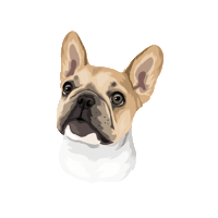 Sushipp Sticker by Pickle's Pawtraits