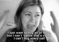 cat love GIF