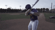 East Carolina Ecu Baseball GIF by ECU Athletics