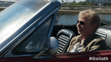 season 1 GIF by Goliath