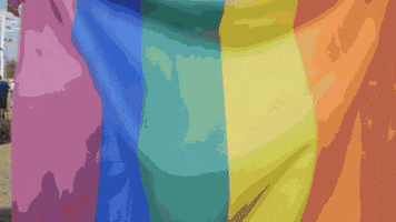 loop festival GIF by Pukkelpop