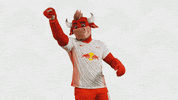 Lets Go Football GIF by RB Leipzig