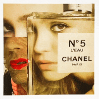 GIF by Joseph Fontinha