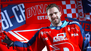 Martin Kaut GIF by HC Dynamo Pardubice