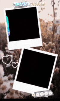 Feliz Flores GIF by Murcianys LLC