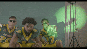 North Dakota State Bison GIF by NDSU Athletics