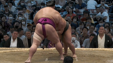 TZ85 giphyupload sumo 2023 nagoya basho midorifuji GIF