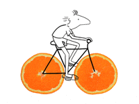Pale Ale Summer GIF