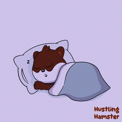 Sweet Dreams Sleeping GIF by VeeFriends