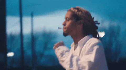730 GIF
