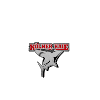 Germany Animation Sticker by Koelner Haie