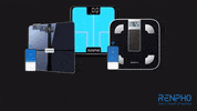 Fitness 3D GIF by RENPHO