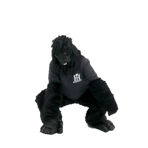 HurlingHatchet giphyupload dance party dancing Sticker