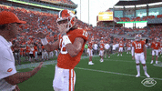 Accfootball GIF by The ACC