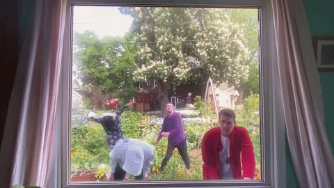 Window GIF by Still Woozy