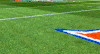football field paint GIF by University of Florida