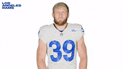 La Rams Football GIF by Los Angeles Rams