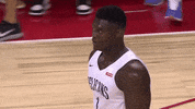 new orleans pelicans nba GIF by ESPN