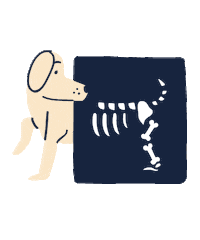 familyvetgroup dog dogs vet xray Sticker