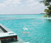 Fernweh GIF by Fernsinn Welt - ReiseBeratung Anja Horn