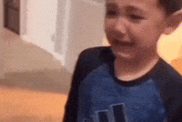 Dog Cry GIF