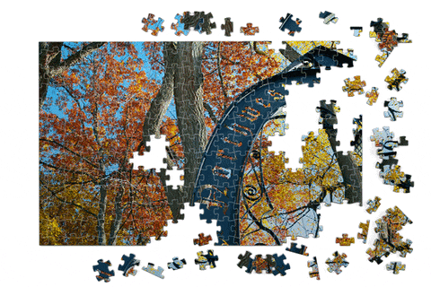 nualumni giphyupload GIF