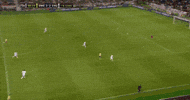 ladies zlatan GIF