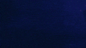 Night Outrun GIF