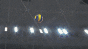 Take That Wow GIF by Volleyball World