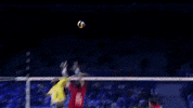 Power Yes GIF by Volleyball World