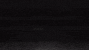 Bundesliga Tor GIF by FC Würzburger Kickers