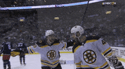ice hockey sport GIF by NHL