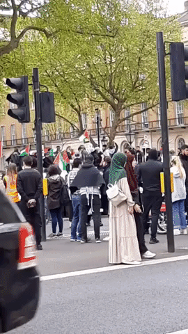 Palestine Supporters Rally at London Protest