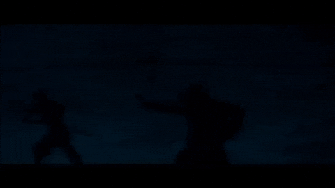 Greysentinel giphygifmaker GIF