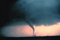 Animation Tornado GIF by weinventyou