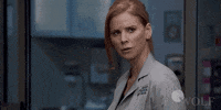 Dick Wolf What GIF by Wolf Entertainment