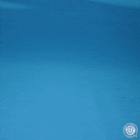 Espn Swimming GIF by American Kennel Club