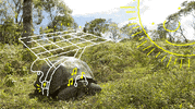 Green Energy Turtle GIF by Siemens