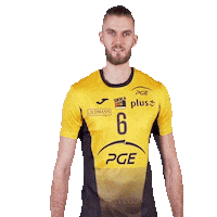 Happy Volleyball Sticker by PGE Skra Bełchatów