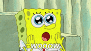 GIF by SpongeBob SquarePants