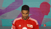 Union Berlin Football GIF by Bundesliga