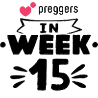 Week 15 Pregnancy Sticker by Preggers