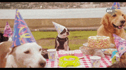 GIF by mtv